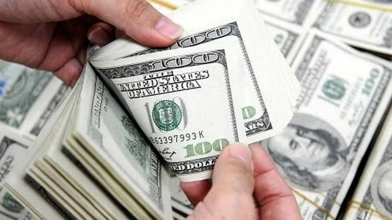 February 4 2025/dollers-1749097875.webp